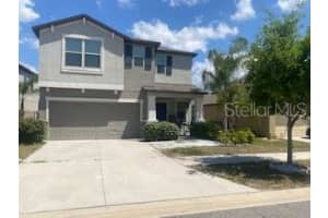 15510 Wicked Strong St, SUN CITY CENTER