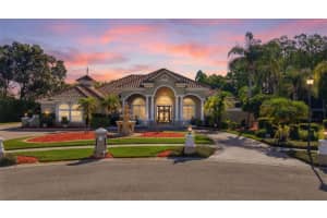 19115 Saint Emilion Ct, LUTZ