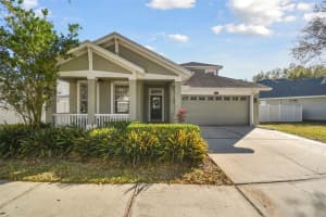 18034 Lake Reflections Blvd, LUTZ