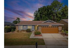 3827 Watson Dr, NEW PORT RICHEY 3827 Watson Dr, NEW PORT RICHEY