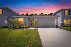 152 Bright Ibis Ave, APOLLO BEACH