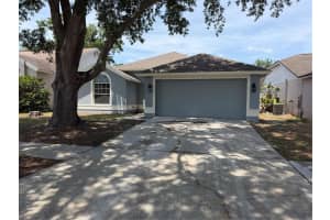 10920 Fenway Glen Ct, RIVERVIEW