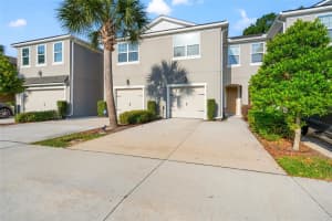 14124 Damselfly Dr, TAMPA
