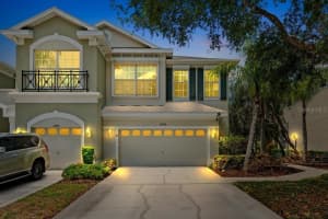 14072 Waterville Cir, TAMPA