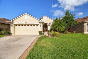 3216 Sago Point Ct, LAND O LAKES