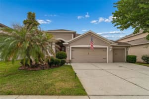 3510 Hickory Hammock Loop, WESLEY CHAPEL 3510 Hickory Hammock Loop, WESLEY CHAPEL