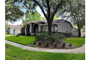 17712 Hampshire Oak Dr, TAMPA 17712 Hampshire Oak Dr, TAMPA