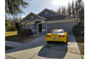 1424 Wylie Ct, WESLEY CHAPEL 1424 Wylie Ct, WESLEY CHAPEL