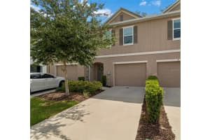 4733 Deer Track St, TAMPA