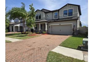 10442 Arbor Groves Pl, RIVERVIEW