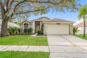 11015 Peking Pl, TAMPA 11015 Peking Pl, TAMPA