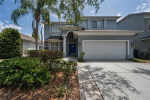 19313 Aqua Springs Dr, LUTZ