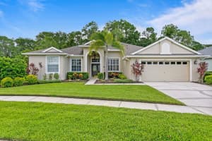 14511 Corkwood Dr, TAMPA 14511 Corkwood Dr, TAMPA