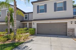 1295 White Fox Run, LUTZ