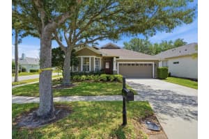 19409 Golden Slipper Pl, LUTZ