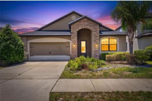 12433 Ballentrae Forest Dr, RIVERVIEW