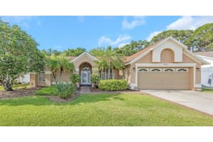 15002 Rocky Ledge Dr, TAMPA