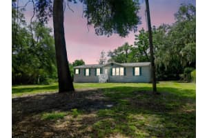 1819 Sinclair Hills Rd, LUTZ