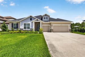 16181 November Rain Ct, LAND O LAKES
