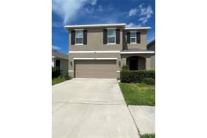 2927 Common Fig Run, WESLEY CHAPEL 2927 Common Fig Run, WESLEY CHAPEL