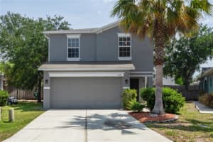 3533 Cardinal Feather Dr, LAND O LAKES 3533 Cardinal Feather Dr, LAND O LAKES