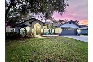 4617 Basswood St, LAND O LAKES 4617 Basswood St, LAND O LAKES