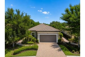 8447 Alberata Vista Dr, TAMPA