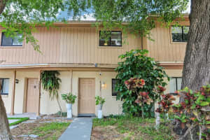 4005 Oak Limb Ct, TAMPA