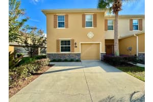 13955 Snapper Fin Ln, TAMPA