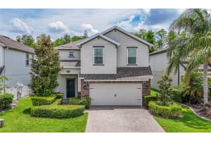 19312 Roseate Dr, LUTZ 19312 Roseate Dr, LUTZ