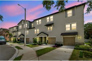 4436 Tuscan Loon Dr, TAMPA 4436 Tuscan Loon Dr, TAMPA