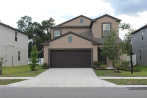 6259 Back Forty Loop, ZEPHYRHILLS 6259 Back Forty Loop, ZEPHYRHILLS