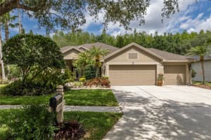19204 Pristine Pl, LUTZ