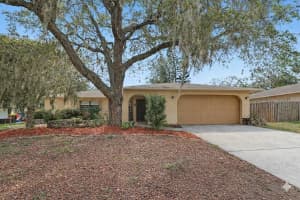 8741 Elm Leaf Ct, PORT RICHEY 8741 Elm Leaf Ct, PORT RICHEY