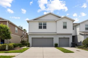 8738 Turnstone Haven Pl, TAMPA