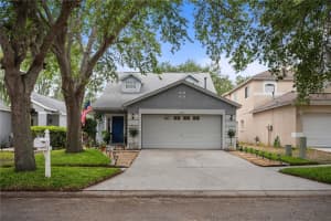 453 Summer Sails Dr, VALRICO 453 Summer Sails Dr, VALRICO
