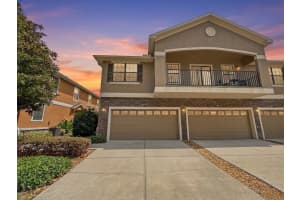 16615 Kingletside Ct, LITHIA 16615 Kingletside Ct, LITHIA