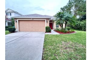 20719 Great Laurel Ave, TAMPA 20719 Great Laurel Ave, TAMPA