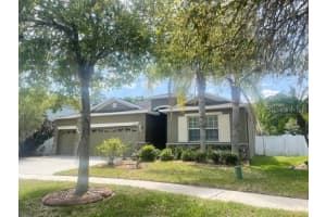 20010 Bright Oak Ct, TAMPA