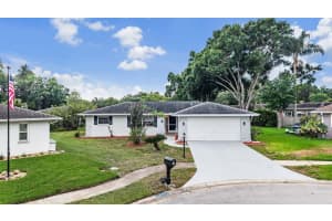 20 Shell Cir, PALM HARBOR 20 Shell Cir, PALM HARBOR
