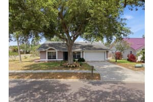 798 Countryshire Ln, PALM HARBOR 798 Countryshire Ln, PALM HARBOR