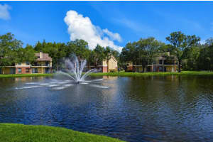 8633 Fancy Finch Dr #201, TAMPA