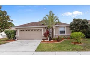 3922 Langdrum Dr, WESLEY CHAPEL