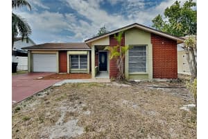 9515 Letterstone Ct, TAMPA