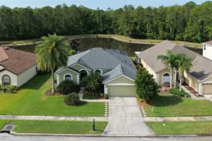 12730 Tar Flower Dr, TAMPA 12730 Tar Flower Dr, TAMPA