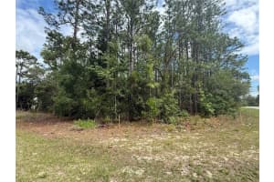 7103 N Hemmingway Dr, DUNNELLON