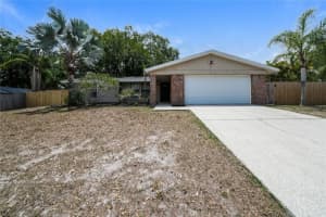 2836 Cinnamon Bear Trl, PALM HARBOR 2836 Cinnamon Bear Trl, PALM HARBOR