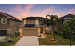 15415 Long Cypress Dr, RUSKIN 15415 Long Cypress Dr, RUSKIN