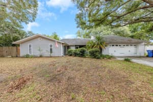 17704 Rivendel Rd, LUTZ 17704 Rivendel Rd, LUTZ