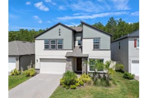 18242 Serene Lake Loop, LUTZ 18242 Serene Lake Loop, LUTZ